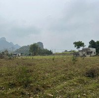 Bán Lô Đất Giá Rẻ Nhất Khu Vực Chưa Đến 400K/M2 Tại Phú Vinh, Tân Lạc, Hoà Bình