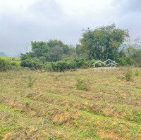 Bán Lô Đất Giá Rẻ Nhất Khu Vực Chưa Đến 400K/M2 Tại Phú Vinh, Tân Lạc, Hoà Bình