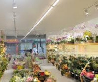 Cho Thuê Nhà Mặt Phố Bạch Mai: Diện Tích 120M X 3 Tầng, Mặt Tiền 5M. Nhà Đẹp, Vị Trí Gần Phố Huế
