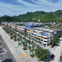 Cđt Flamingo Hà Nam Mở Bán Quỹ Căn Staylink Khai Thác Dòng Tiền Đến 42 Triệu/Tháng - Full Nội Thất