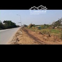 Bán Trang Trại Đẹp Tại Đường Bãi Tiên Tân, Đan Phượng, Hà Nội, 15 Tỷ, 40000 M2