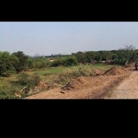 Bán Trang Trại Đẹp Tại Đường Bãi Tiên Tân, Đan Phượng, Hà Nội, 15 Tỷ, 40000 M2