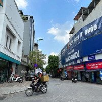 Bán Đất Mặt Ngõ 279 Đội Cấn, 139 M2, Mặt Tiền 7M, Mặt Phố Đại Yên Mới, 38 Tỷ
