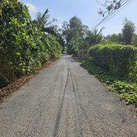 Bán Đất Mặt Tiền Lộ Nhựa Trồng Bưởi