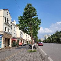 Cho Thuê Căn Góc Shophouse Trục Chính Nam An Khánh Nhà Hoàn Thiện Tầng 1 Đẹp Giá Hợp Lý