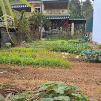 Nhỉnh 1 Tỷ! Sở Hữu 181M2 Full Thổ Cư, Gần Sân Golf Phượng Hoàng, Gần Ql6