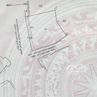 Giảm Giá Cực Sốc - Chỉ Còn 123 Triệu/M - Bán Đất Tặng Nhà Cũ Tại Trung Tâm Nha Trang