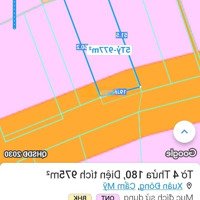 Bán Gấp Nhà Đất Mặt Tiền Đường Nhựa Lớn. Xuân Đông Cẩm Mỹ