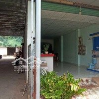 Bán Gấp Nhà Đất Mặt Tiền Đường Nhựa Lớn. Xuân Đông Cẩm Mỹ
