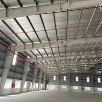 cho thuê kho xưởng mới xây xong trong kcn bến lức . Tỉnh long an
