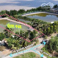 Mặt Tiền Sông Mêkong Sẵn 100M2 Thổ Cưdiện Tích: 670M2 Chỉ Còn 549 Triệu Tại Tân Phú Đông, Tiền Giang