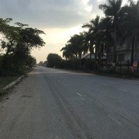 Bán Đất Tại Tân Liễu, Yên Dũng, Bắc Giang, Giá Thỏa Thuận, 150M2, Mặt Tiền 5M