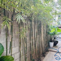 Chào Bán Đất Tặng Biệt Thự Lô Góc Mặt Tiền Đường Hòa Cường Nam - Hải Châu - Đà Nẵng
