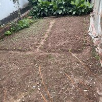 Bán 55M Đất Đan Phượng Hà Nội, Ô Tô Đỗ Cửa, Xây Ở, Đầu Tư Đẹp Long Lanh