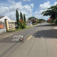 Cần Bán Lô Đất Thổ 120M2, Gần Công An Tinh Bình Phước Đ. Bạch Đằng, P. Tân Đồng, Đồng Xoài. 670 Triệu
