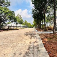 Bán Đất Đẹp Tại Chánh Phú Hoà, Bến Cát, 150M2 , Gần Chợ, Shr