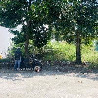 Gấp! Bán Gấp Lô Đất Đẹp, Đ. Lê Trọng Tấn, Gần Trường Thpt Phước Bình, Phước Long, Bình Phước, 120M2