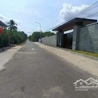 790 Triệu Đất 166.8M2 Bình Ba, Châu Đức, Brvt. Khu Vip Biệt Thự Rất Đẹp, Đường Nhựa
