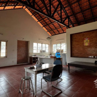 Cho Thuê Mbkd Có Sẳn Nhà Vườn Đường Xe Tải Nguyễn Duy Trinh, Gần Vòng Xoay Phú Hữu, Quận 9