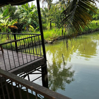 Cho Thuê Mbkd Có Sẳn Nhà Vườn Đường Xe Tải Nguyễn Duy Trinh, Gần Vòng Xoay Phú Hữu, Quận 9