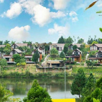 Bán Biệt Thự Hồ Bản Xôi Căn Góc Đẹp Nhất, View Trực Diện Hồ