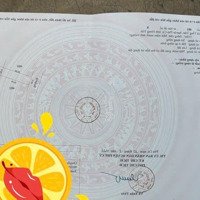 Trục Chính Kinh Doanh Tống Trân, Phù Cừ