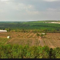 Bán Đất Tại Thanh An, Hớn Quản, Bình Phước, 260 Triệu, 249.9 M2