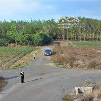Bán Đất Tại Thanh An, Hớn Quản, Bình Phước, 260 Triệu, 249.9 M2