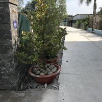 Bán Nhà Riêng, Diện Tích 214 M Vuông Tại Xã Bình Lợi Bình Chánh Tphcm
