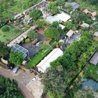 Farmstay Tại Ea Tu, Buôn Ma Thuột, Đắk Lắk, 21 Tỷ, 73000 M2