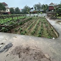 55M2 Lô Góc Tự Nhiên, Thường Tín, Hà Nội Đường Trước Đất Rộng 4M, Ngỗ Rộng 4M Ô Tô Vào Ngõ