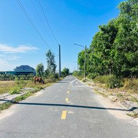 Bán Đất Nền Thị Trấn Phước Hải, Đất Đỏ, Long Đất, Bà Rịa - Cơ Hội Đầu Tư Sinh Lời