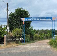 Bán Hơn 1Ha Đất Lộc Phú Lộc Linh Bình Phước Đường Dt756 Vào 2Km Đất Trồng Fun Cao Su.