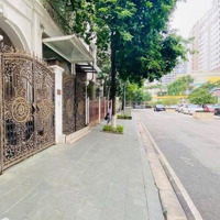 Bán Biệt Thự Nhà Vườn Hapulico Complex Thanh Xuân 140M, 3 Tầng, 1 Tum, 1 Hầm Có Thang Máy.