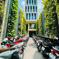 Hoa Hồng Môi Giới Chính Chủ Thuê Tòa Nhà Quang Trung, Gò Vấp Phù Hợp Kinh Doanh Nhiều Ngành Nghề