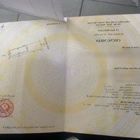 Bán Nhanh Nhà Mặt Tiền Thanh Long, Trung Tâm Hải Châu, Vị Trí Đẹp