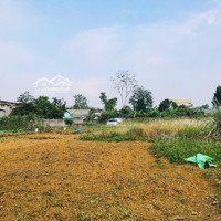 Bán Đất Nhuận Trạchdiện Tích4200M2 Có 400M2 Thổ Cư Giá Rẻ