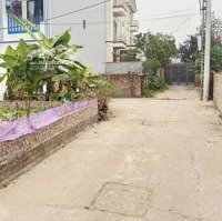 Bán Đất - Thôn Đoài, Nam Hồng, Đông Anh, Hà Nội