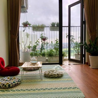 Cho Thuê Căn Hộ Đồ Cơ Bản Chung Cư Amber Ngõ 622 Minh Khai, Hai Bà Trưng, Liền Kề Time City