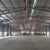 Cho Thuê Kho Tại Hòa Vang Diện Tích 400M, 700M, 810M Giá Chỉ 42K/M