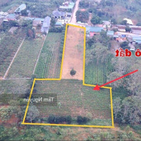 Bán 4000 M2 (400 Thổ Cư) Làm Nhà Vườn Quá Đẹp Tại Ba Vì Giá Chỉ 4,X Tỷ
- Diện Tích Trong Sổ 1448 M2