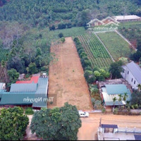 Bán 4000 M2 (400 Thổ Cư) Làm Nhà Vườn Quá Đẹp Tại Ba Vì Giá Chỉ 4,X Tỷ
- Diện Tích Trong Sổ 1448 M2