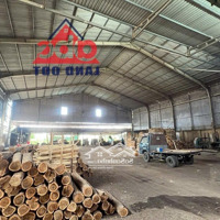 Cho Nhà Thuê Xưởng 2000M2 P. Tân Hoà Đường Xe Công Giá Thuê 35 Triệuiệu 1/Tháng