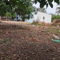 Chủ Cần Đáo Hạn Ngân Hàng Bán Lô Đất Cây Ăn Trái Thổ Cư 127M2 Ngay Thành Phố Long Khánh