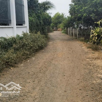 Chủ Cần Đáo Hạn Ngân Hàng Bán Lô Đất Cây Ăn Trái Thổ Cư 127M2 Ngay Thành Phố Long Khánh