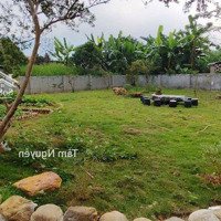 Nhỉnh 3 Tỷ Có Ngay Gần 800 M2 Sẵn Nhà Vườn Chỉ Việc Về Ở Tại Vân Hòa, Ba Vì
- Thổ Cư 150 M2