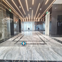 Cho Thuê Văn Phòng Cao Cấp Tại Halo Building Premium Bùi Thị Xuân Quận 1 Từ 80M2 Đến 565M2/Sàn