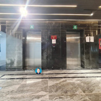 Cho Thuê Văn Phòng Cao Cấp Tại Halo Building Premium Bùi Thị Xuân Quận 1 Từ 80M2 Đến 565M2/Sàn