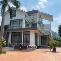 Bán Biệt Thự 1200M Bám Mặt Đường Nhựa Phú Mãn, Quốc Oai
