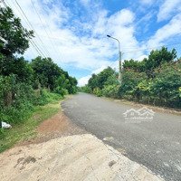 Cần Bán Đất Hẻm / Bình Lộc - Ấp 3, Giá Bán 550 Triệu Vớidiện Tích100M2 Full Tc. Liên Hệ: 0384329615